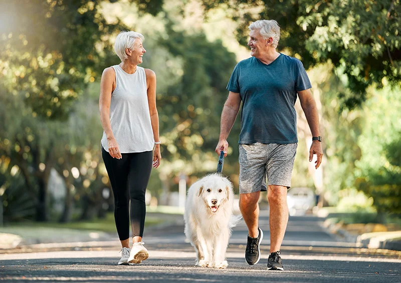 senior couple walking with their dog